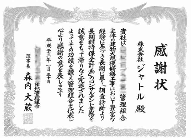 20110130_mozaic